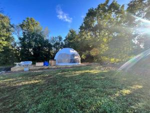 MarmoraOpen Sky Glamping Kawartha Dome的树木繁茂的田野上的大型圆顶帐篷