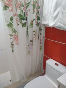 伊察LUGAR DE DESCANSO的一间带卫生间和淋浴帘的浴室