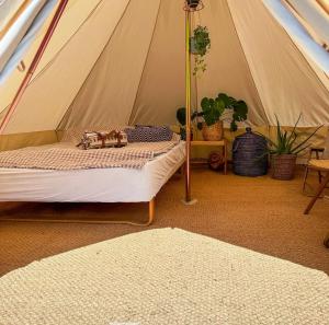 哥德堡Watersky blue的植物间里带床的帐篷