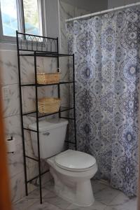 下博克特Boquete Firefly Inn的一间带卫生间和淋浴帘的浴室