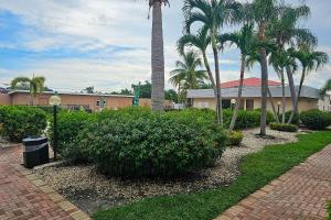 迈尔斯堡Rodeway Inn Fort Myers Central的棕榈树和棕榈树建筑