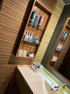Minatomachiホテルアシュエル的一间带水槽和镜子的浴室