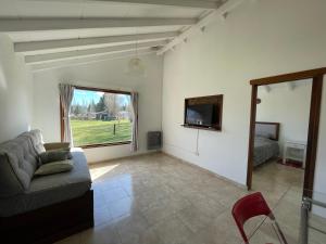 圣卡洛斯-德巴里洛切Viento y montaña的带沙发和床的客厅以及窗户。