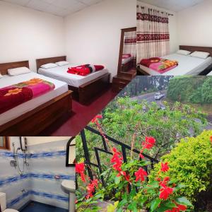 纳奥亚GREENISH INN (ROOMS)的客房设有两张床和一个带红色鲜花的阳台。