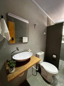 蒂拉登特斯Casa do Chafariz Tiradentes的一间带水槽和卫生间的浴室