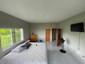 LyssonsThe Retreat的一间卧室配有一张床和一台平面电视
