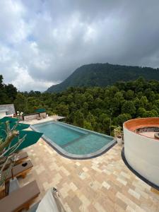 新加拉惹Munduk Kupang Sekumpul Villa的山景游泳池