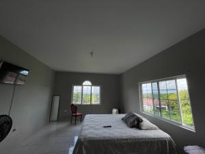 LyssonsThe Retreat的一间卧室设有一张床和两个窗户。