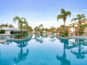 帕福斯帕福斯奥运礁湖度假村的度假村内棕榈树游泳池
