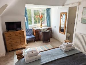 伯恩茅斯Alexander Lodge Guest House的客房设有带书桌和电视的卧室。