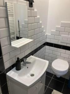 采格莱德Arany Apartman的浴室配有白色水槽和卫生间。