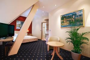 海德堡金色玫瑰酒店的一间酒店客房,配有一张床和一台电视
