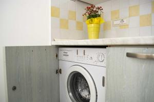 佩斯科勒海滨Appartamenti in Via Schipa Pescoluse的厨房里的洗衣机,在柜台上放着鲜花