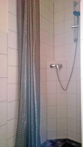 StahlbrodeFerienwohnung im Wiesengrund的浴室内配有淋浴帘。
