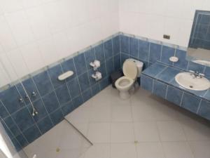 埃尔科莱希奥Finca Andalucia con Piscina en Mesitas的蓝色瓷砖浴室设有卫生间和水槽