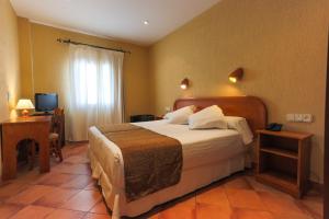 圣玛丽亚港洛斯坎塔洛斯酒店的配有一张床和一张书桌的酒店客房