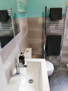 莫珀斯The Snug Centre of Morpeth的浴室配有白色水槽和卫生间。