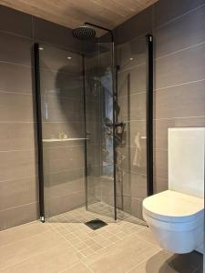 哈山Hafjell - Penthouse - ski in/out的带淋浴和卫生间的浴室