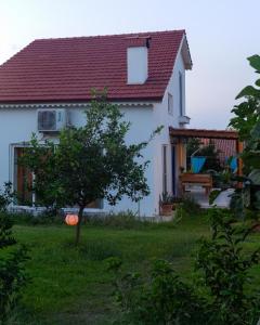 安塔利亚Masal Evimiz的院子里有树的白色房子