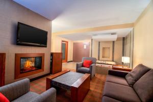 温尼伯南温尼伯喜来登福朋酒店的带沙发和壁炉的客厅