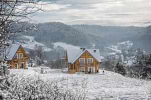 克雷尼察Osada Wielkie Nieba的一座位于雪山上的木屋,背景是山丘