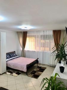 拉姆尼库沃尔恰Casa Daria的一间卧室配有床和带窗帘的窗户