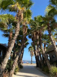 格里莫Mobil Homes Vacances的街上一排棕榈树