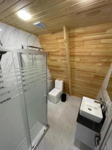盖贝莱Qafqaz Eminent Chalet的带淋浴、盥洗盆和卫生间的浴室
