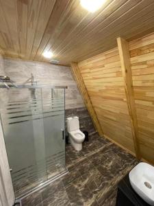 盖贝莱Qafqaz Eminent Chalet的带淋浴、卫生间和盥洗盆的浴室