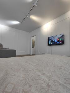 比什凯克Silk Sky的一间配有沙发和壁挂式平面电视的客房