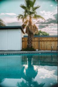 雷德布拉夫Triangle Motel的游泳池里映入棕榈树
