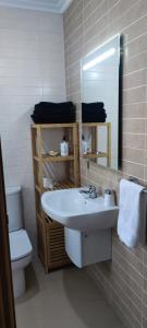 巴雷罗斯Atico en Barreiros 2 habitaciones的一间带水槽、卫生间和镜子的浴室