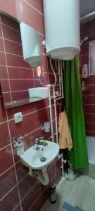 古察Guesthouse Tadic的浴室设有水槽和绿色的淋浴帘