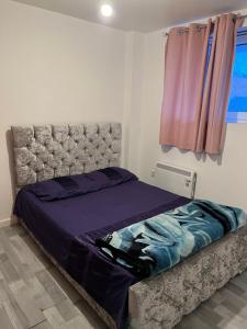 朴次茅斯Room in the centre of Portsmouth的一间卧室配有一张带紫色床单的床和窗户。