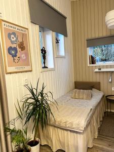 厄勒布鲁Lilla huset Bed & Breakfast - gästhus 1-3 personer och egen parkering的植物间内一间卧室,配有一张床