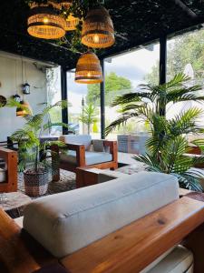 贡多马尔Villarit Porto的带沙发和一些植物的客厅