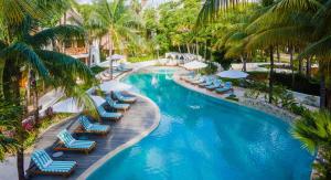 普拉亚卡门Mahekal Beach Front Resort & Spa的一个带躺椅的游泳池,棕榈树