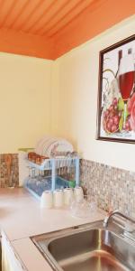 "SunRise Inn" Nature Island Dominica的一个带水槽的厨房台面和墙上的照片