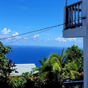 "SunRise Inn" Nature Island Dominica的阳台享有海景。