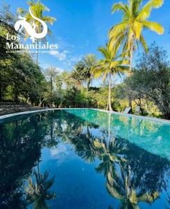 CoaxitlanBalneario Natural Los Manantiales的棕榈树和蓝色海水游泳池