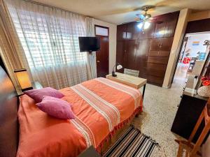 瓦哈卡市Casa de las Palmas Guest House的一间卧室配有带枕头的床铺和电视。
