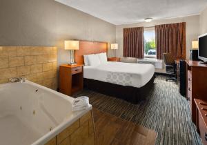 罗缪勒斯Magnuson Hotel Detroit Metro Airport的酒店客房配有一张床和浴缸。