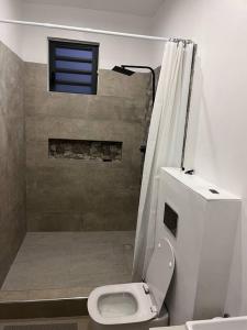 格兰贝伊Entre ciel et mer的一间带卫生间和淋浴及窗户的浴室