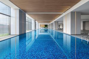 绵阳绵阳首开喜来登酒店的一座蓝色瓷砖的游泳池