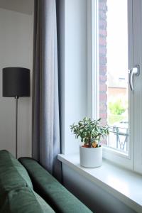 梅尔布施Green46的绿沙发,坐在窗户旁,种植植物