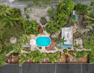 拉罗汤加Rarotonga Daydreamer Escape的享有带游泳池和棕榈树的度假村的顶部景致