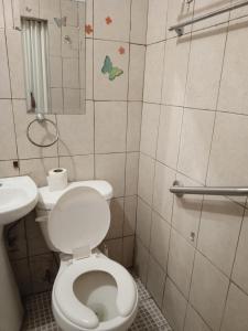 蒙特雷Recamara confortable en San Nicolás的一间带卫生间和水槽的浴室