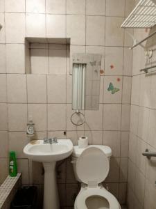 蒙特雷Recamara confortable en San Nicolás的一间带卫生间和水槽的小浴室