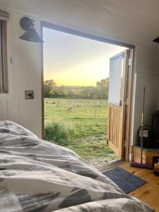 NewchurchUnder the Stars Shepherds Huts at Harbors Lake的一间卧室,享有田野中的马匹景色