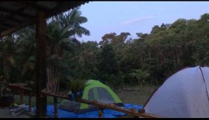 菲格雷多总统镇CATEDRAL THE ROCK CAMPING的两顶帐篷位于带树木的甲板上